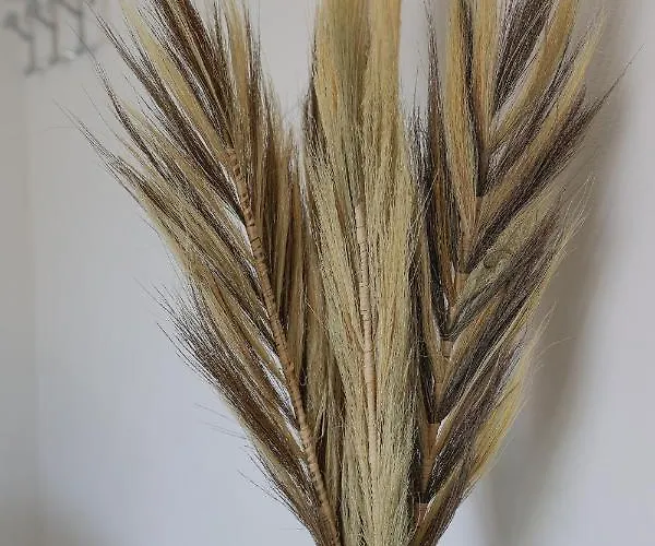 度假居 Maisonnette Lozari 4 Pers Proche L'ile Rousse