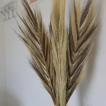 בית נופש Maisonnette Lozari 4 Pers Proche L'ile Rousse